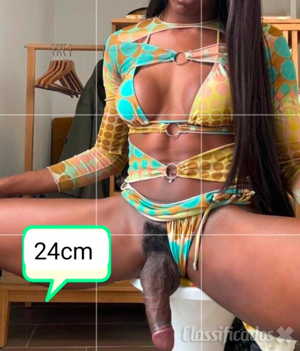 Trans negra dot...
