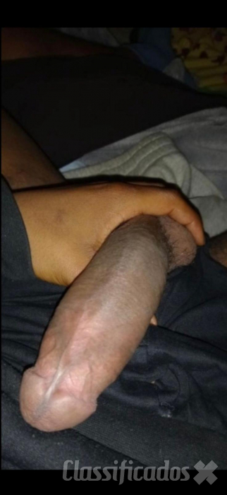 Jovem bull negr...