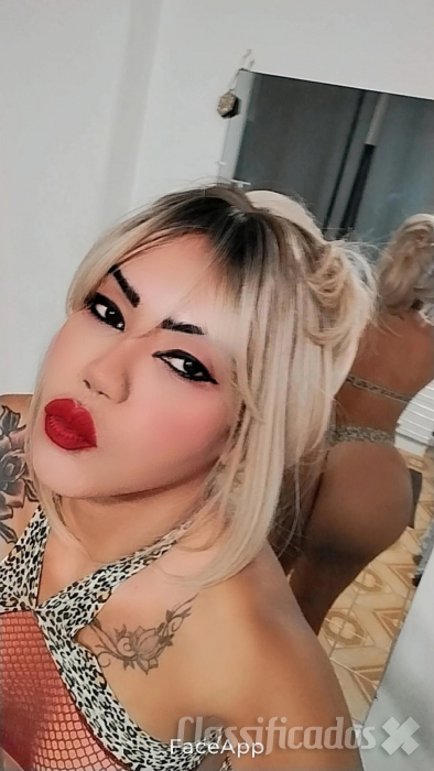 Safada rabo gul...