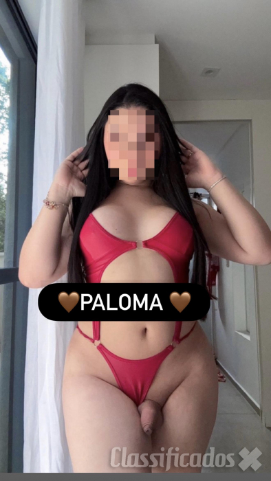 Paloma  trans s...